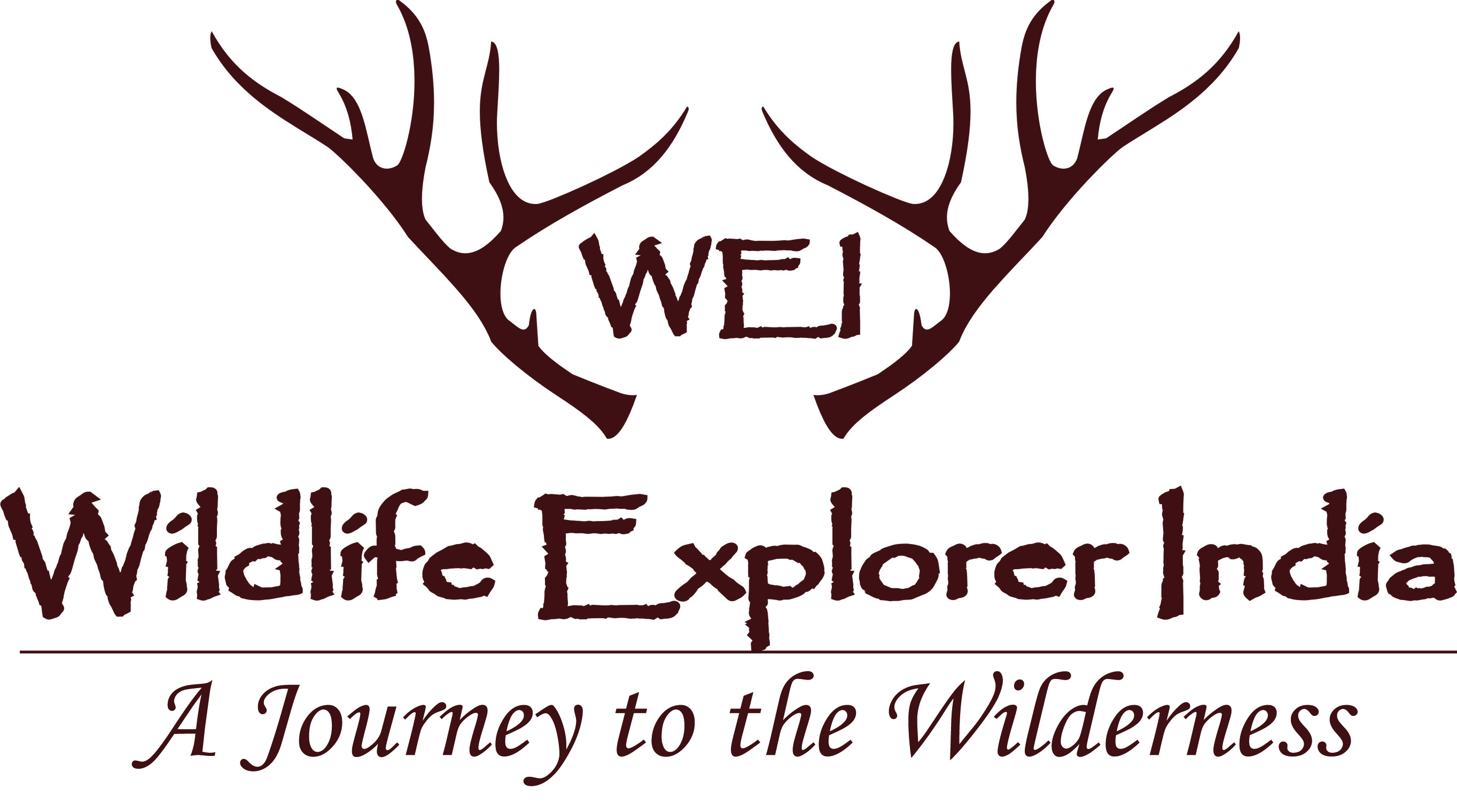 Wildlife Explorer India Pvt. Ltd.
